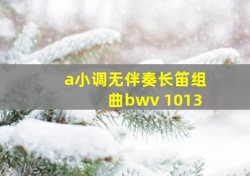 a小调无伴奏长笛组曲bwv 1013